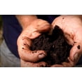thumbnail image 5 of Roots Organics ROBW Big Worm Premium Worm Castings Fertilizer, 1 Cubic Feet, 5 of 12