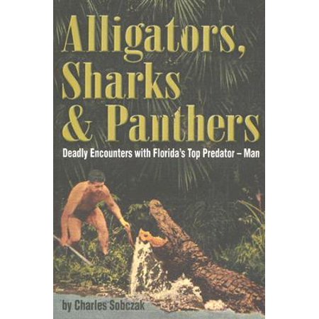 Alligators Sharks Amp Panthers Deadly Encounters With