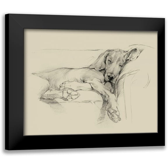 Harper, Ethan 14x12 Black Modern Framed Museum Art Print Titled - Dog Days I
