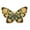 XZ6957, variant on Cute Buterfly Enamel Pins Lapel Pin Badge Clothing Backpack Accessory Gifts @-XZ7084