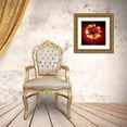 thumbnail image 3 of Jaynes Gallery 12x12 Gold Ornate Wood Framed with Double Matting Museum Art Print Titled - USA-Colorado-Loveland Gaillardia flower close-up, 3 of 4