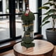 thumbnail image 3 of 10pcs Cluster F-Bomb Toy with Missile Shell, Stress Relief Military Toys for Adults Men Kids Boys, 3 of 5