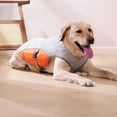 thumbnail image 4 of Reflective Breathable Mesh Dog Cooling Harness Vest, Summer Sun Protection Pet Jacket with Lift Handle & Leash D-Ring,Orange,L, 4 of 5
