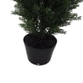 thumbnail image 4 of Vickerman 3' Artificial Potted Green Cedar Tree., 4 of 6