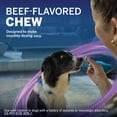 thumbnail image 5 of NexGard Plus Flea, Tick & Heartworm Chewable for Dogs 33.1-66 lbs, Beef Flavor, Purple Box, 5 of 10