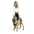 thumbnail image 3 of PetSafe CareLift Support Harness, Full Body Lifting Aid with Handle, Medium, 3 of 9
