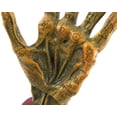 thumbnail image 4 of Alchemy Mummified Palmistry Hand Gothic, 4 of 4