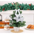 thumbnail image 1 of TIELUTT Christmas Tree Potted Ornaments Christmas Christmas Flower Christmas Tree Large Snowflake Ornament Christmas Decorations Fancy Ornament Initial Ornament Christmas Decorations Bulbs, 1 of 3