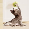 Jrocdr Catmint RND Globe Interactive Cat Toys 360° Rotating With