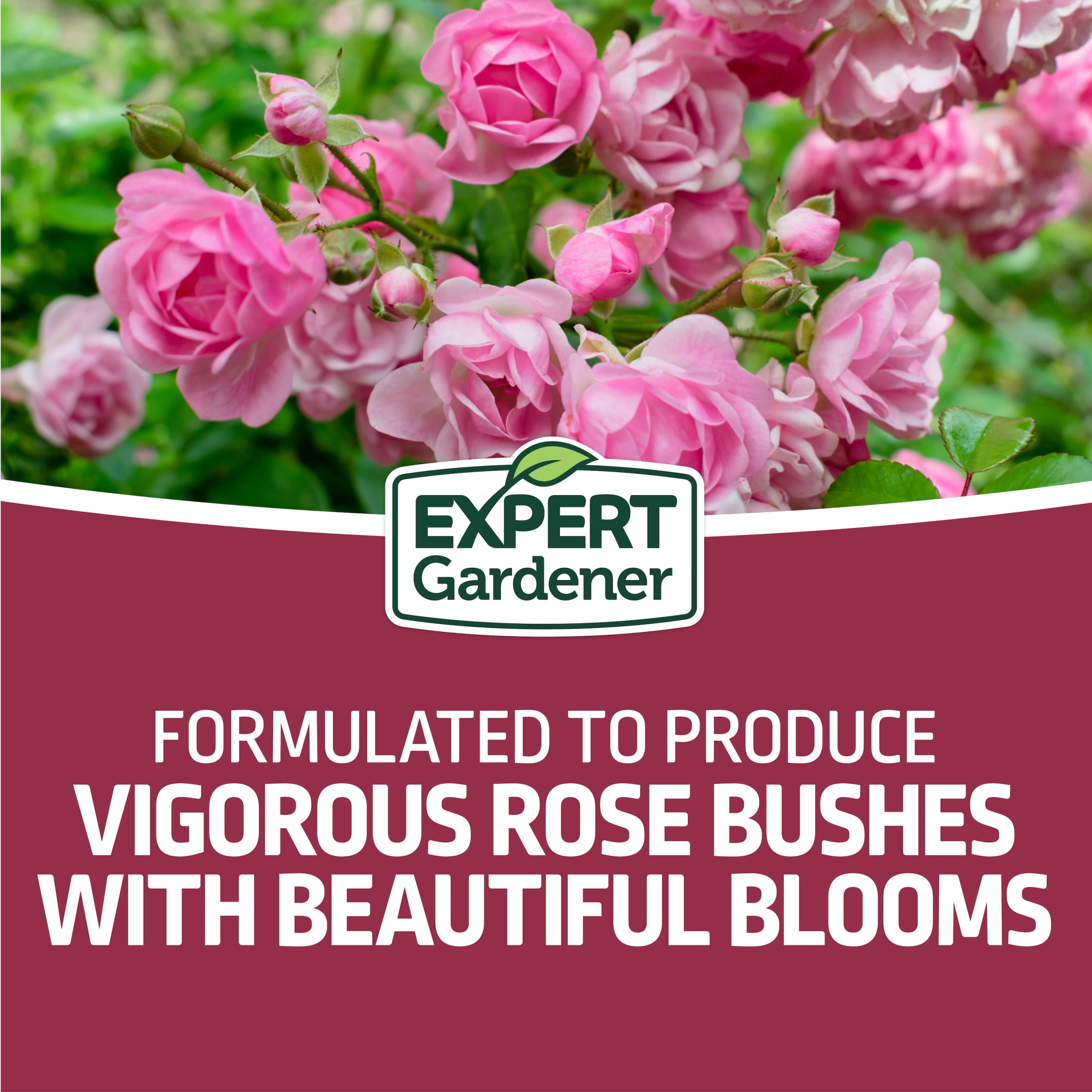 7b254e9f-c809-48b4-a3df-