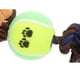 thumbnail image 3 of Juguete para Perro Masticando Squeaky Perfecl Oso, 3 of 7