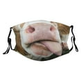 thumbnail image 1 of Funny Animal Face Reusable Washable with Tiger Cat Dog Monkey Pig Designs for Kids & Adults, 1 of 5
