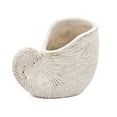 thumbnail image 3 of A&B Home Sand and Cement Nautilus Shell Planter with Textured Beige Finish - 8.5x5.5x6.3", 3 of 10