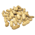 thumbnail image 5 of Peanuts in Shell for Squirrels, Birds, Deer, Chipmunks, Raccoons and Outdoor Wildlife, 1 Pound, 5 of 7