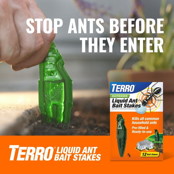 TERRO Indoor Multi-Surface Household Ant Killer, 4 Pack Bait