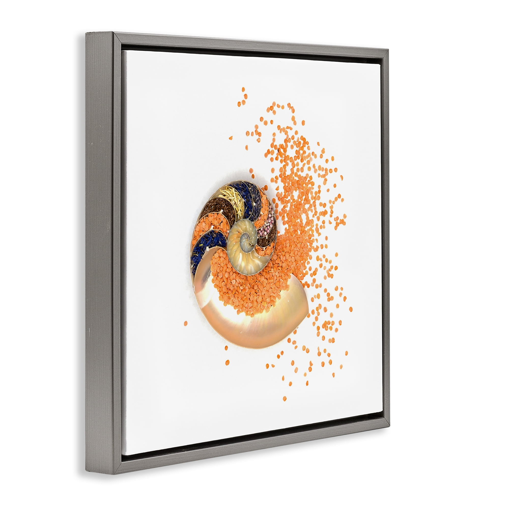 Stupell Industries Orange Nautilus Spiral Gray Framed Floater Canvas Wall Art, design by Beth Adoette