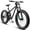 Black, variant on 26 Inch Fat Tire Mountain Bikes, Dual Full Suspension 21 Speed, 4-Inch Wide Fat Tire, for Mens Womens Bicycles, Gray