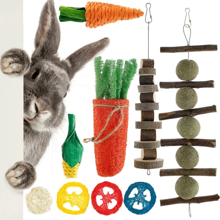 16pcs Natural Bunny Chew Toys Set For