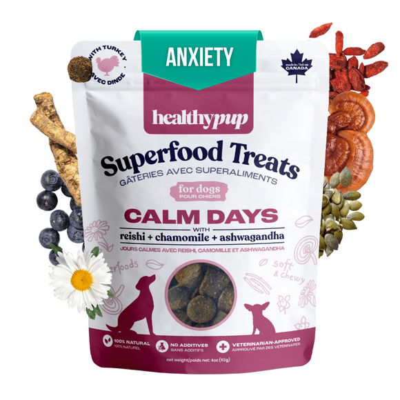 The Healthypup Co – Calm Days – Gâteries pour Chiens Souples et Fonctionnelles avec Reishi, Ashwagandha et Camomille, Sac de 4 Oz