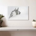 thumbnail image 2 of Elephant Stock Exquisite White Horse Wall Art - Horizontal Canvas Wall Art - Living Room Wall Decor - Photography Animal Canvas - Gray And Whitedecor By Photoinc Studio - 12" x 8", 2 of 8