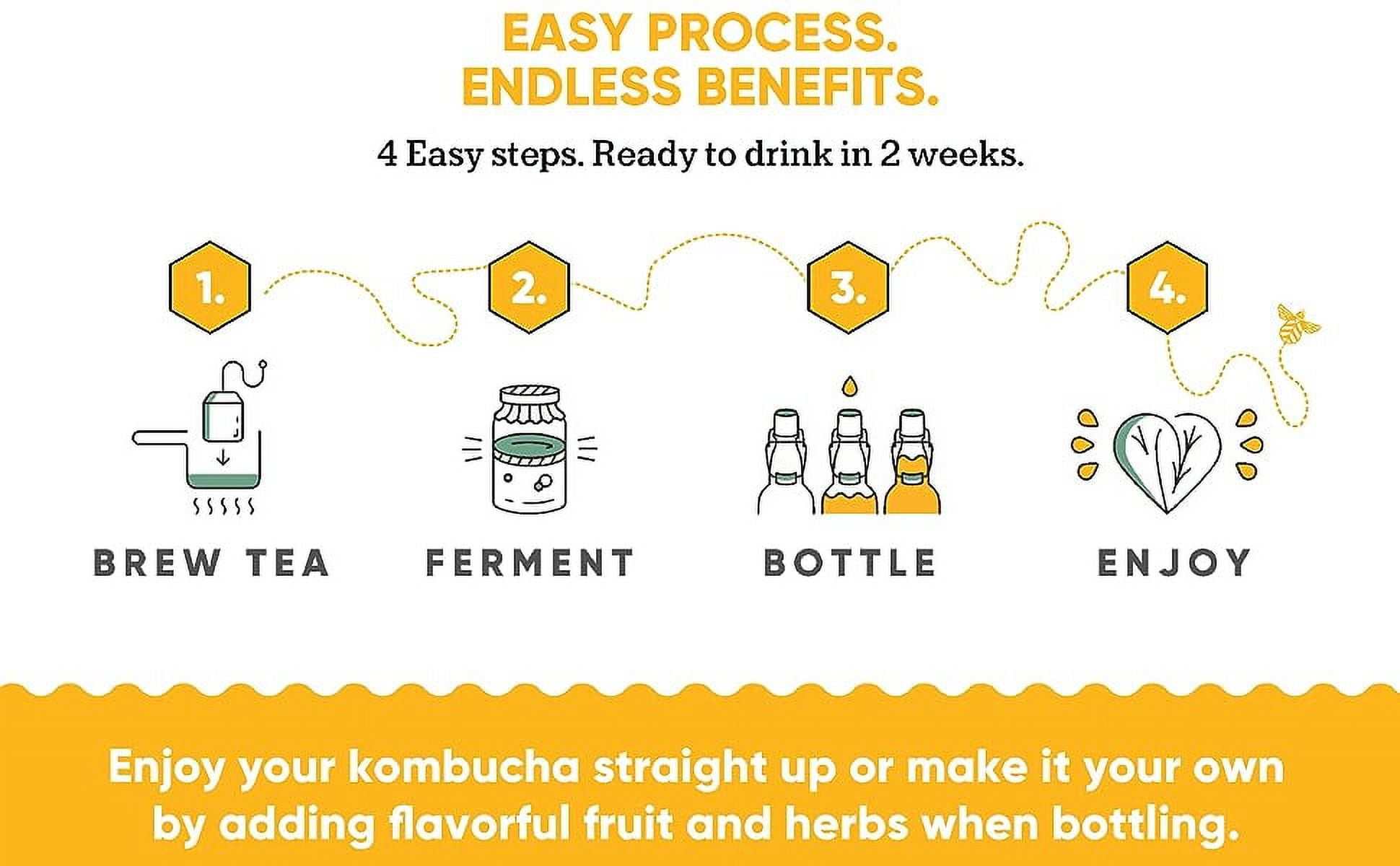 Complete Kombucha Homebrew 1 Gallon Kombucha Starter Kit【For 2 Brews】With  Videos
