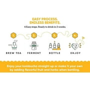 Craft A Brew Kombucha Starter Kit | 1 Gallon | Complete Home Brewing Kit with SCOBY Culture Claim Card