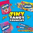 nerds-rope-candy-rainbow-0-92-ounce-pack-of-24-walmart