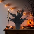 thumbnail image 4 of Decoración de planta en maceta de aguja de pino negro artificial de Halloween | Decoración de plástico realista para interiores | Centro de mesa de mesa | Fácil mantenimiento | 14.5in | 1 pieza, 4 of 8
