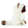 thumbnail image 4 of Cute Ragdoll Cat Plush Stuffed Animal Toys, 4 of 5