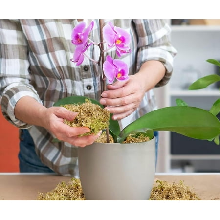 Natural Sphagnum Moss, Long Fiber Orchid Moss Potting Mix, Dried Sphagnum Moss for Indoor Plants, Orchid Repotting, Succulent, Carnivorous Plants, Terrarium and Reptiles
