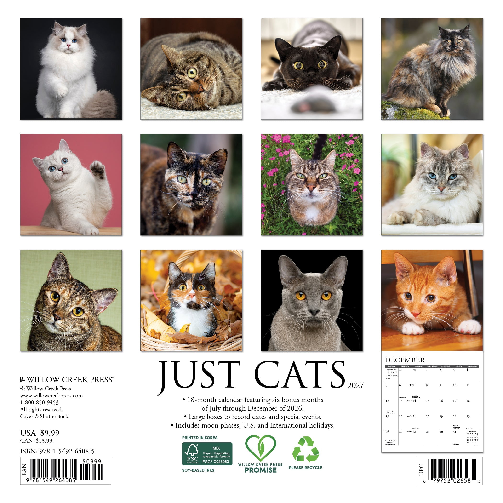 Willow Creek Press, Cats 2027 Mini Wall Calendar