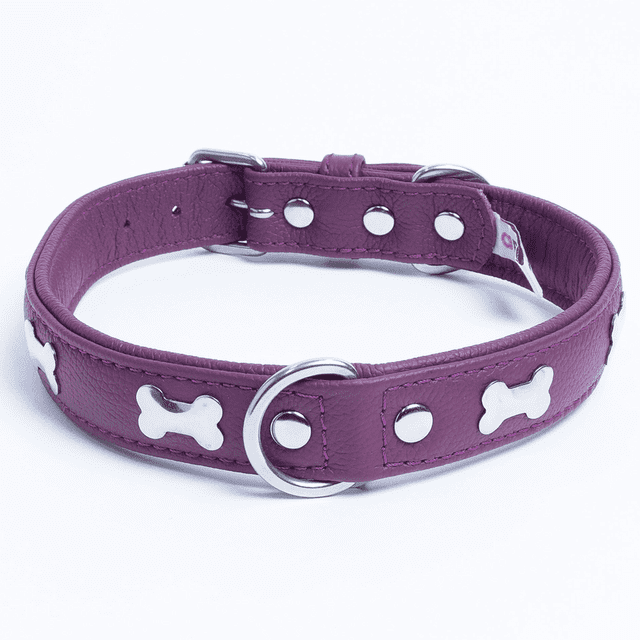 Os ROTTERDAM en Cuir pour Collier de Chien à une Rangée d'Os