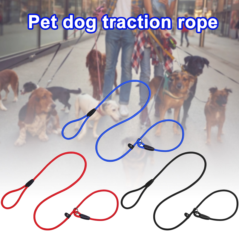 multiple dog tie out chain