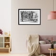 thumbnail image 3 of Historic Framed Print, [Washington elms in April], 17-7/8" x 21-7/8", 3 of 9
