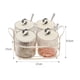 thumbnail image 4 of Tarros de condimentos con soporte, recipiente para condimentos, tapa de cuchara, moderno, transparente 4 tarros, 4 of 9