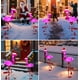 thumbnail image 3 of Luces solares de jardín EDOF Flamingo Xmas impermeables, paquete de 2 unidades, 3 of 8