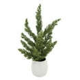thumbnail image 1 of Holiday Time WW Floral Ceramic Pot, 1 of 6