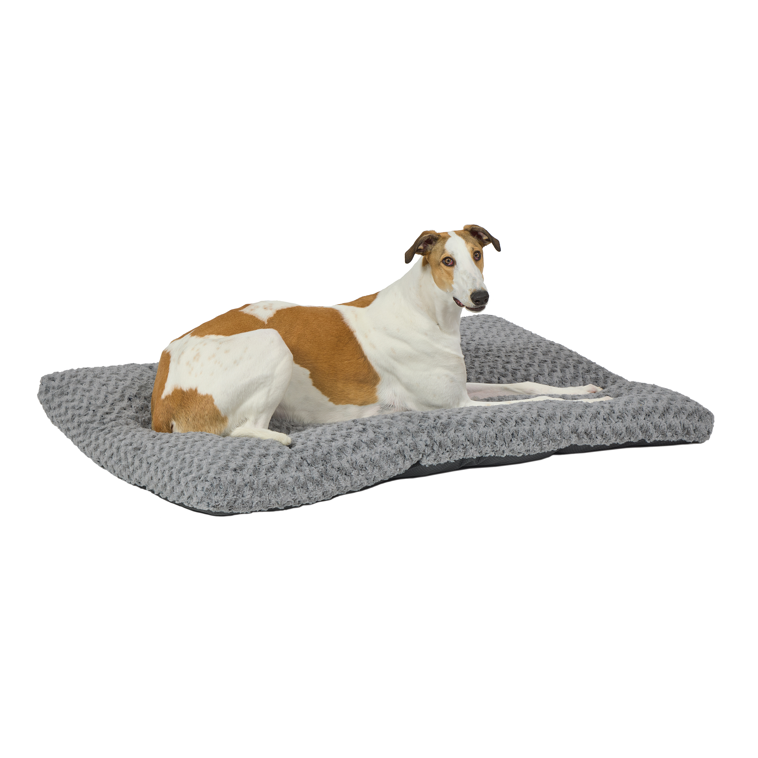 MidWest Homes for Pets Plush Gray Ombe 54''x36'' Swirl Dog Bed; for Giant Breeds; 40654-SGB