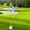 Blue White, variant on BAOSITY Golf Putting Green Flag and Hole Cup Practice Putting Fiberglass Flagpole Golf Flagpoles Golf Flag Hole Cup Set for Kids Yard Red White