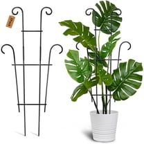 Januofit Plant Trellis for Potted Plants 2p, Larger 23in Garden Trellis for Climbing Plants Indoor Outdoor, Rustproof House Plant Support Stakes for Pothos Hoya Ivy Flower