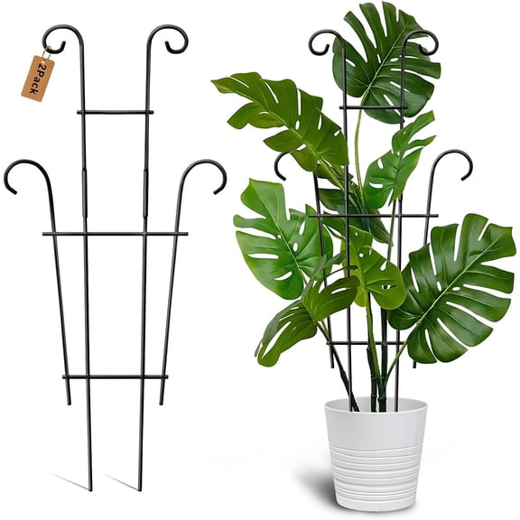 Januofit Plant Trellis for Potted Plants 2p, Larger 23in Garden Trellis for Climbing Plants Indoor Outdoor, Rustproof House Plant Support Stakes for Pothos Hoya Ivy Flower