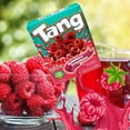 thumbnail image 2 of GIFT BOX TREASURES Tang Raspberry Drink Mixed PACK of 2, 2 of 4