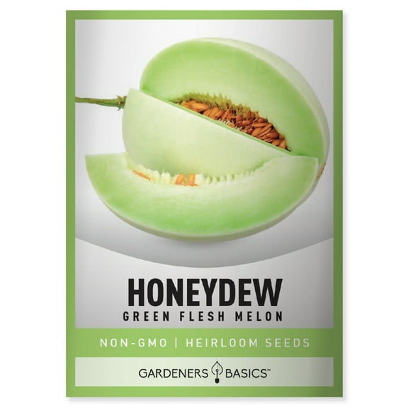 Green Flesh Honeydew Melon Seeds