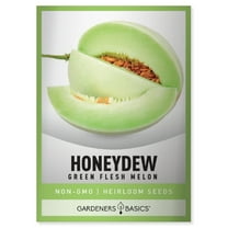 Green Flesh Honeydew Melon Seeds