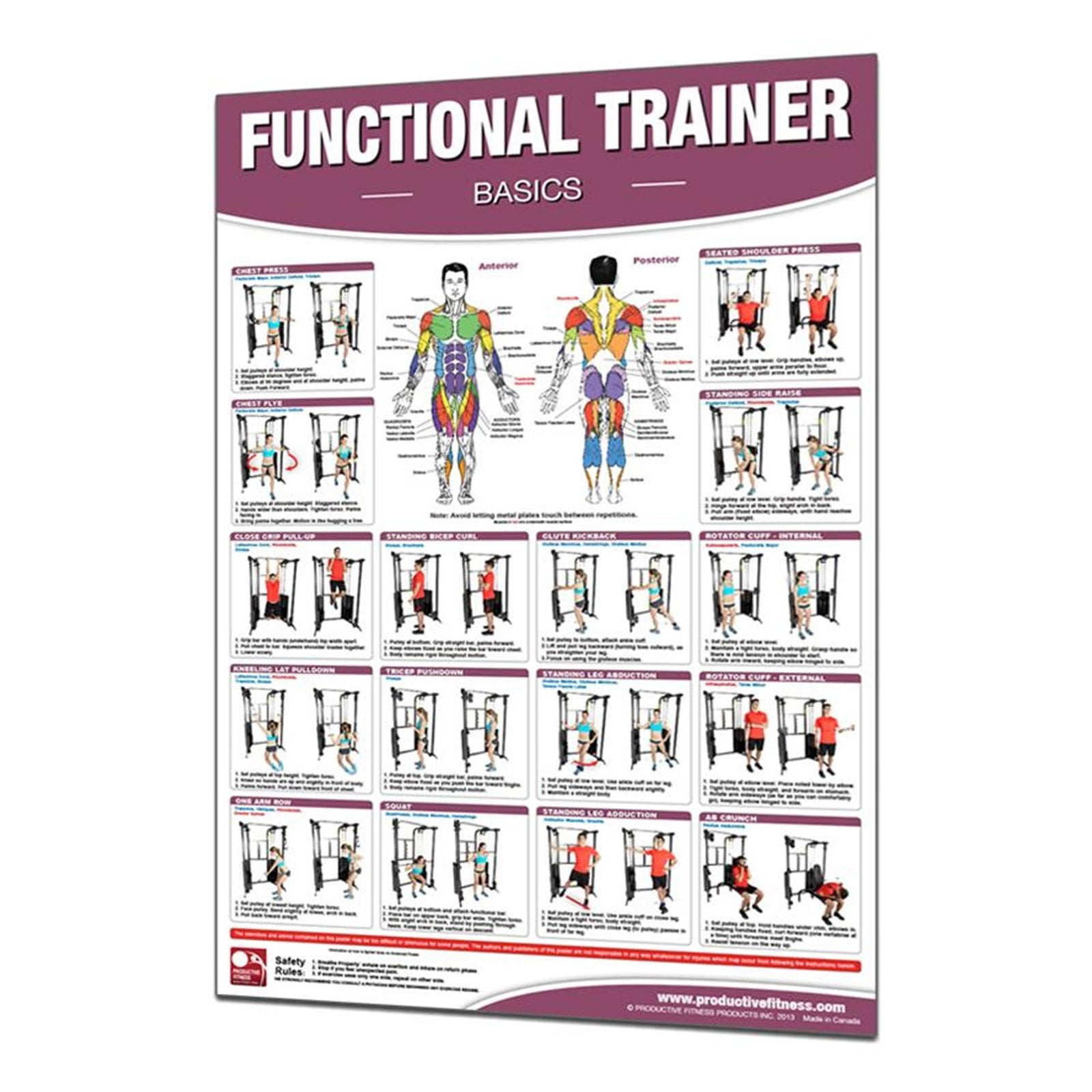 Laminate or Non-Laminate Details about   Productive Fitness Poster Series Home Gym Exercises 