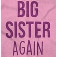 thumbnail image 2 of Big Sister Again Older Sibling Cute Youth T Shirt Tee Girls Infant Toddler Brisco Brands 2T, 2 of 5