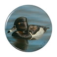 thumbnail image 1 of Ring-Necked Duck Pinback Button Pin, 1 of 5