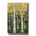 thumbnail image 1 of Epic Graffiti 'Birch Treeline II' by Jade Reynolds, Canvas Wall Art, 18"x26", 1 of 2