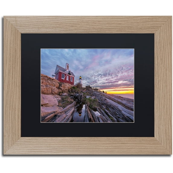 Trademark Fine Art "Reflection In Stone" Canvas Art by Michael Blanchette Photography Black Matte, Birch Frame
