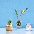 thumbnail image 2 of SHARE SUNSHINE Ceramic Planter with Drain Holes for Decorative Plants(Owl A), 2 of 5